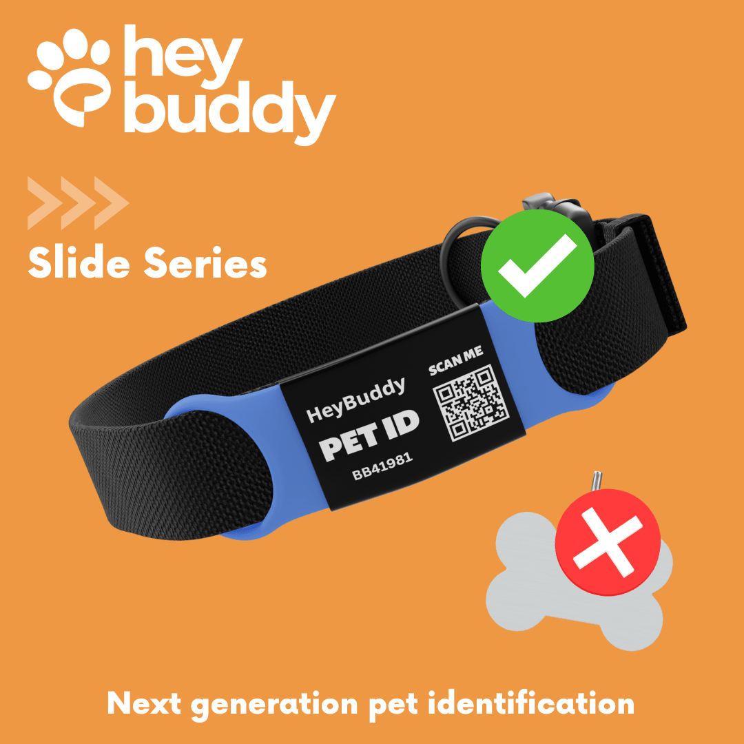 QR Code Pet Tags Vs Engraved Tags – HeyBuddy Club