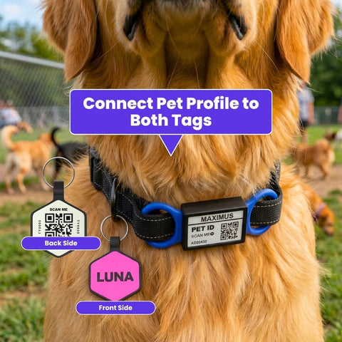 Silicone Custom + Slide Series bundle