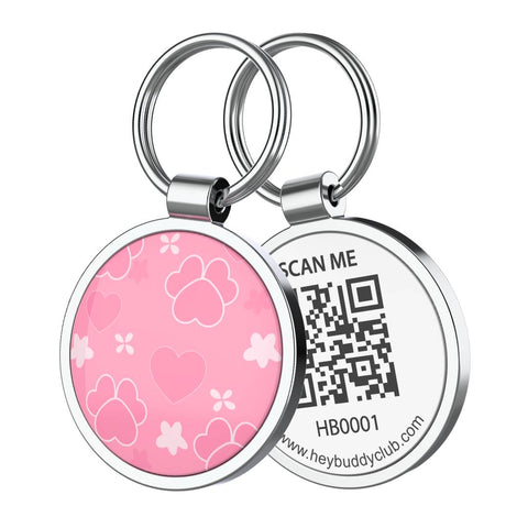 Backup Smart Tag