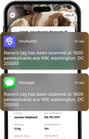 Instant Alerts