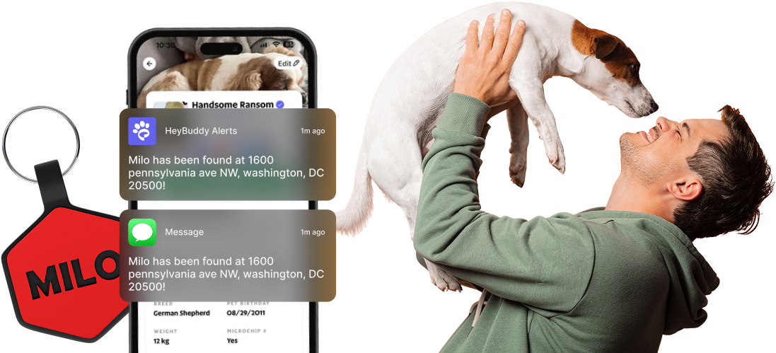 Top Feature Image