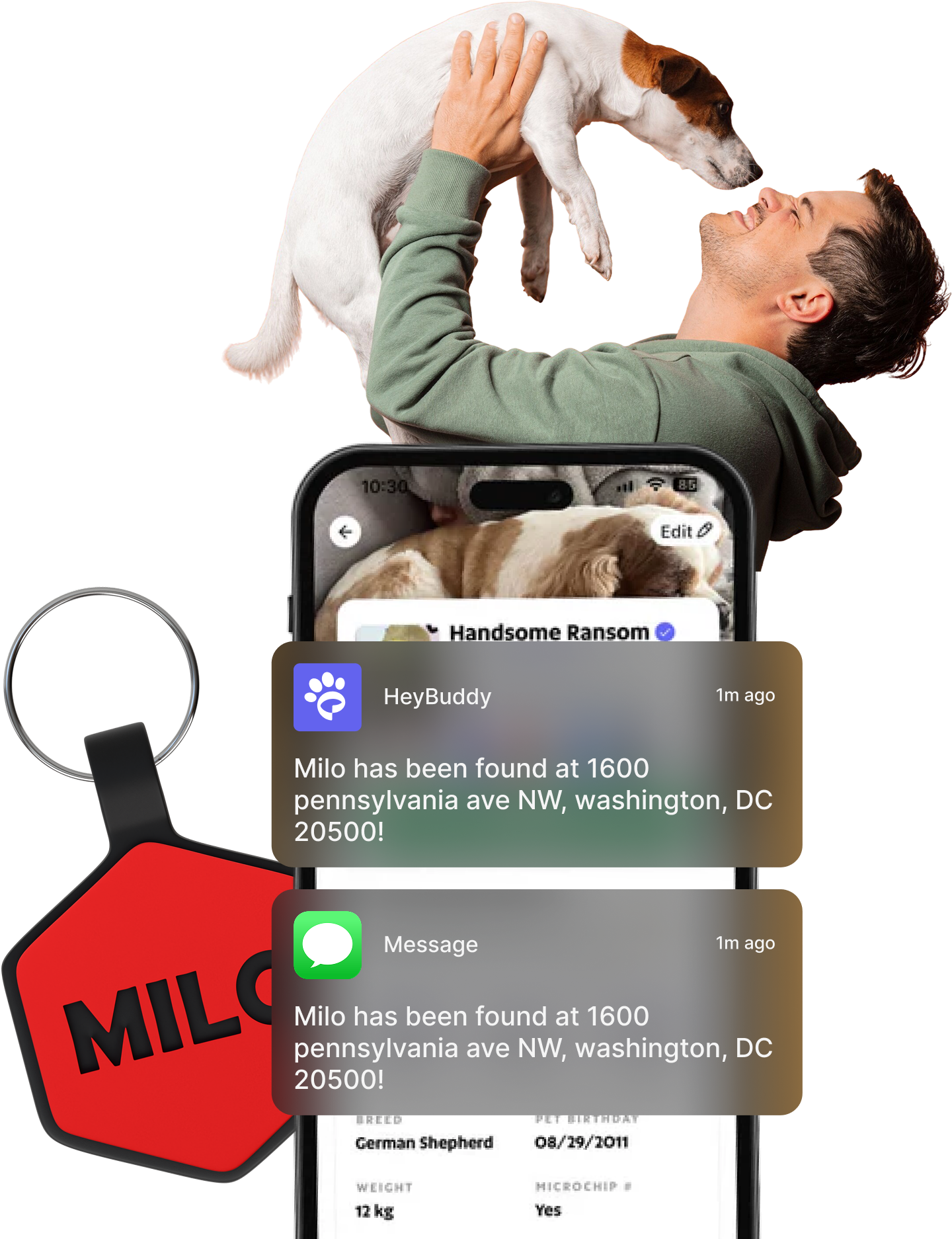 Top Feature Image